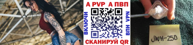 omg сайт  Петрозаводск  Альфа ПВП СК КРИС 